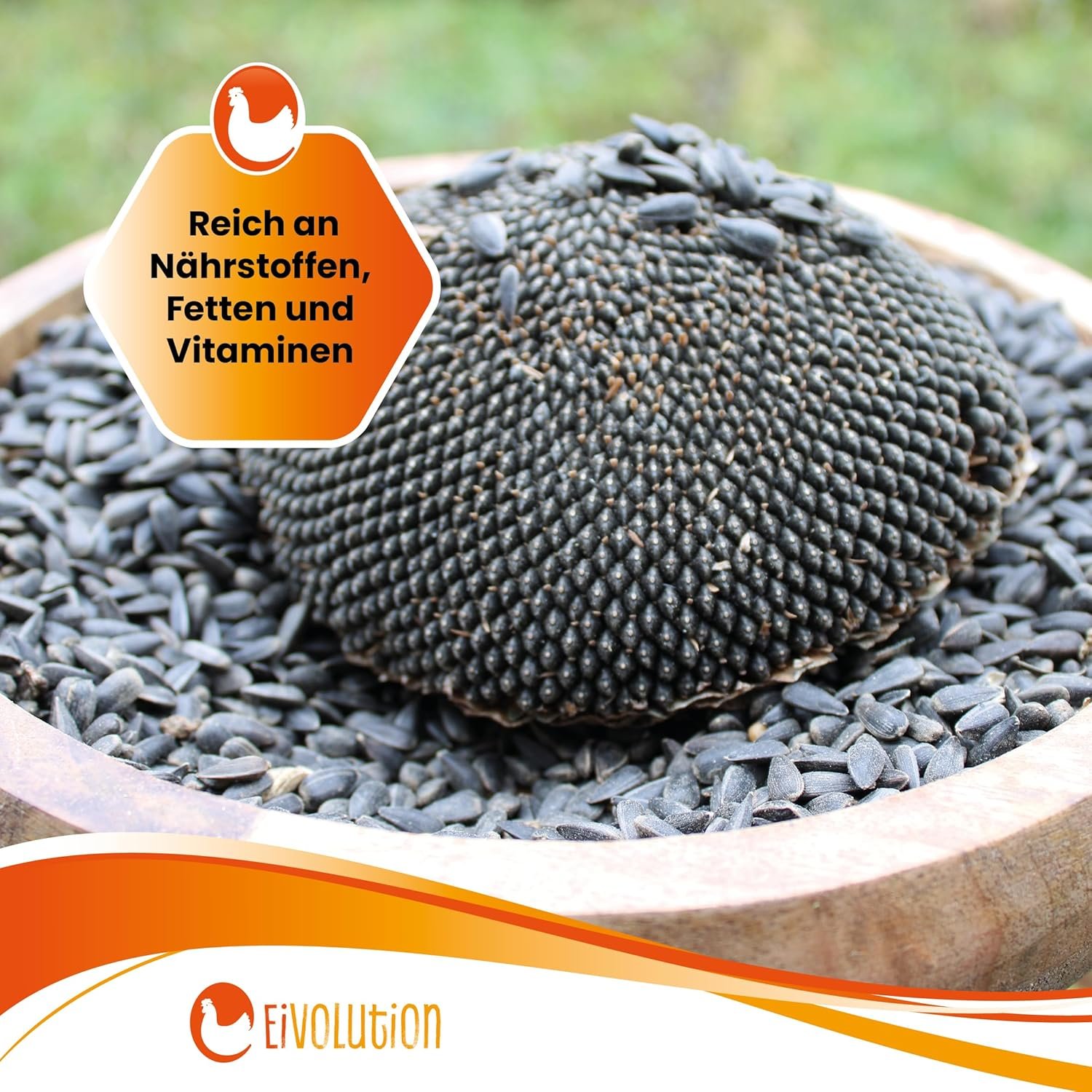 81yBjCBu1JL. AC SL1500 .jpg