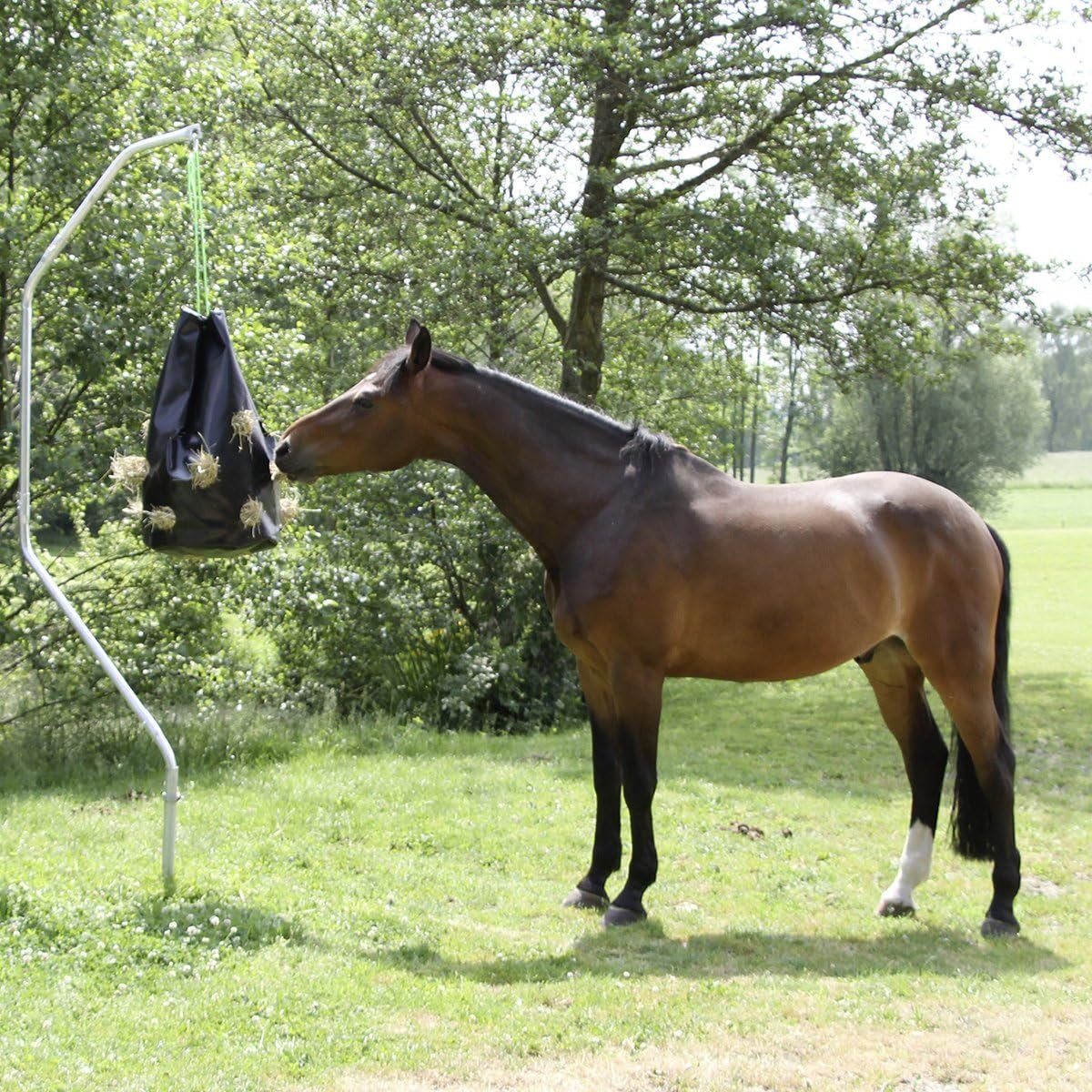 81yTFQpibL. AC SL1200 .jpg