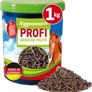 81z0O9BNEtL. AC SL1500 .jpg