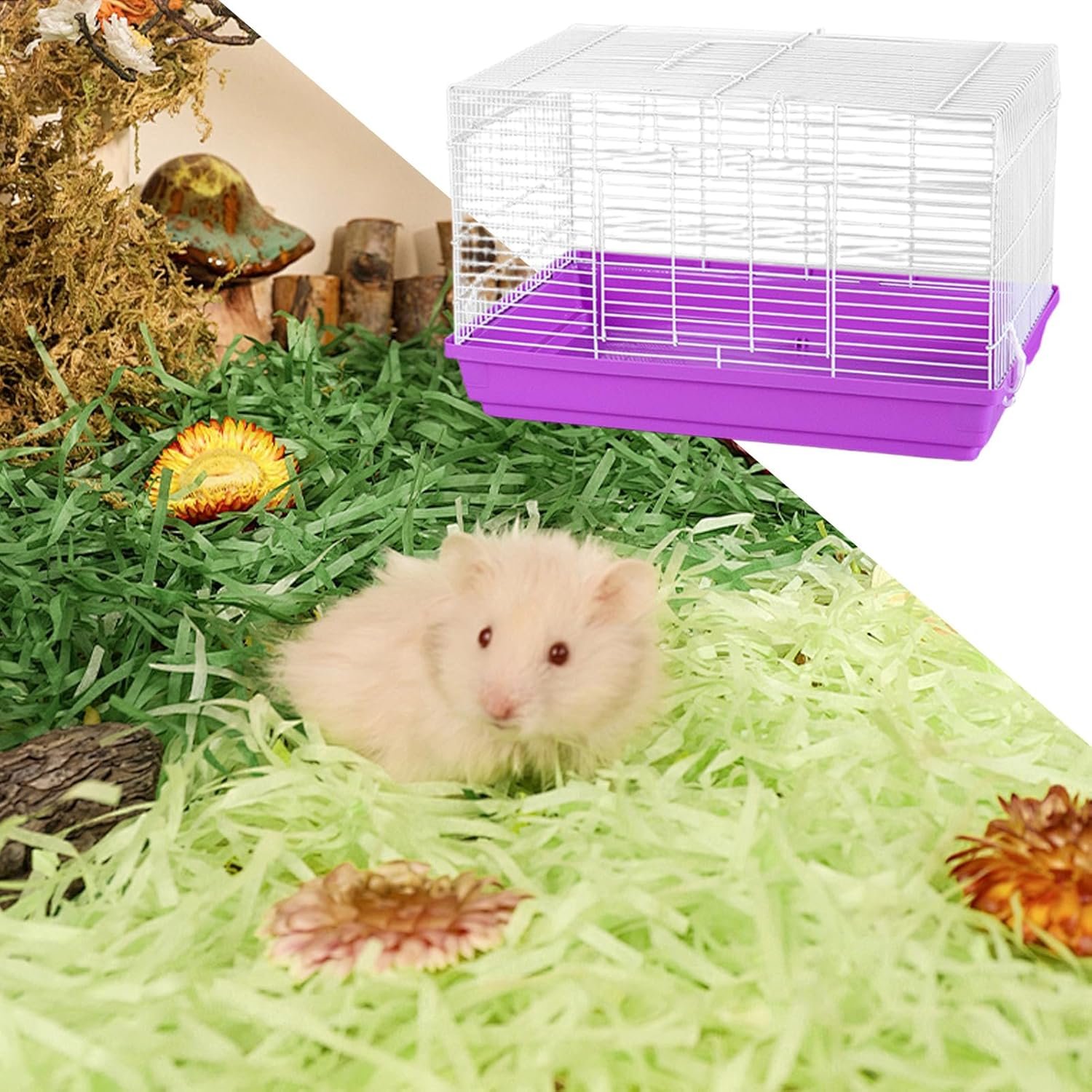 81zfgb3h4AL. AC SL1500 .jpg