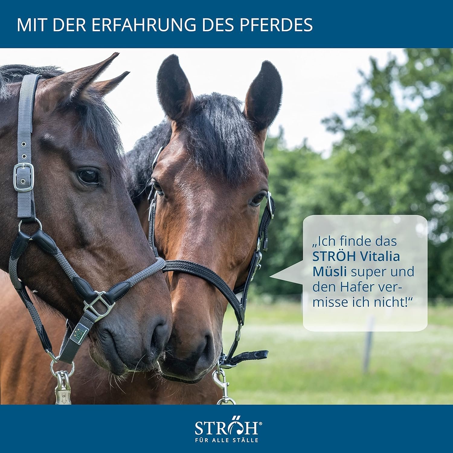 912XSvD1FVL. AC SL1500 .jpg