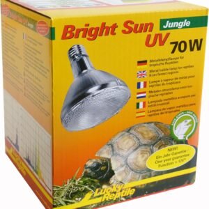 915ubs ZpPL. AC SL1500 .jpg