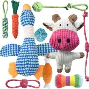 91CIw6VjeCL. AC SL1500 .jpg