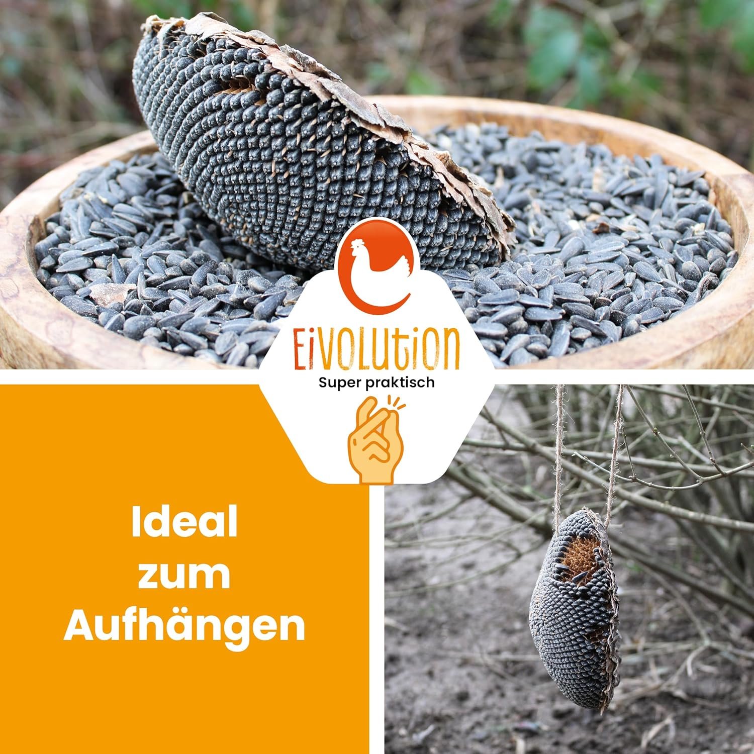 91GxmDa2a8L. AC SL1500 .jpg