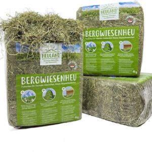 91TiK 3iExL. AC SL1500 .jpg