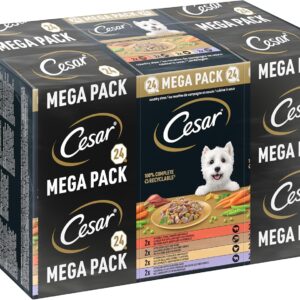 91UVy4Zgm6L. AC SL1500 .jpg