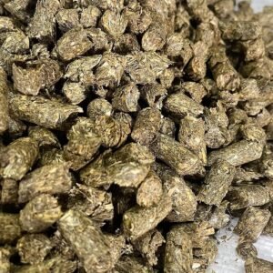 91UfTZWwVVL. AC SL1500 .jpg