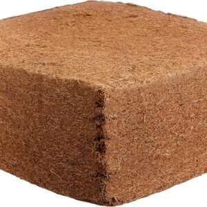 91VvcK 0SeL. AC SL1500 .jpg