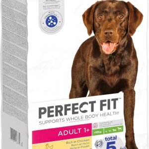 91WEZLH99cL. AC SL1500 .jpg