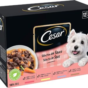 91XtZIj5xL. AC SL1500 .jpg