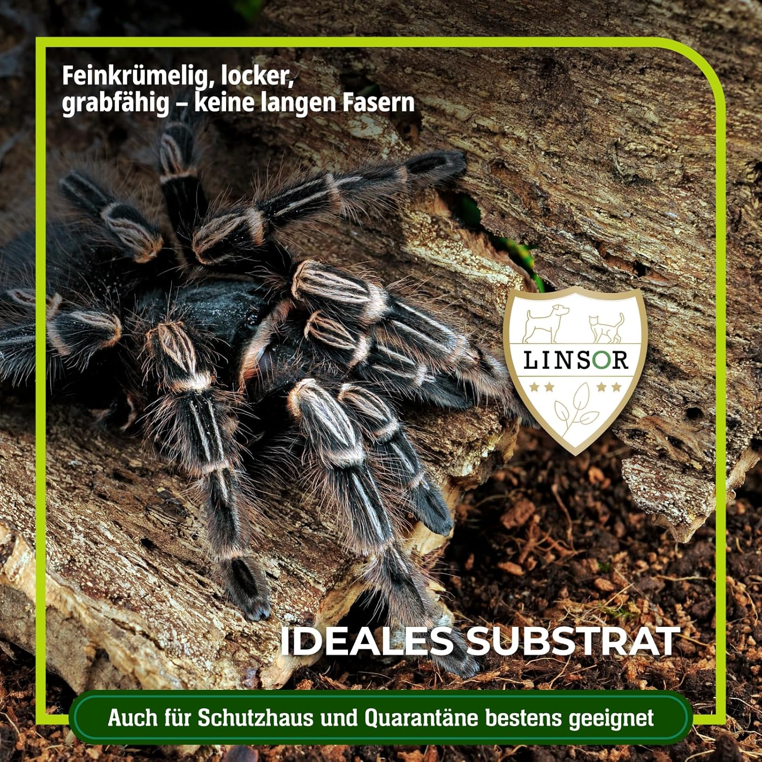 91YAbVOrZWL. AC SL1500 .jpg