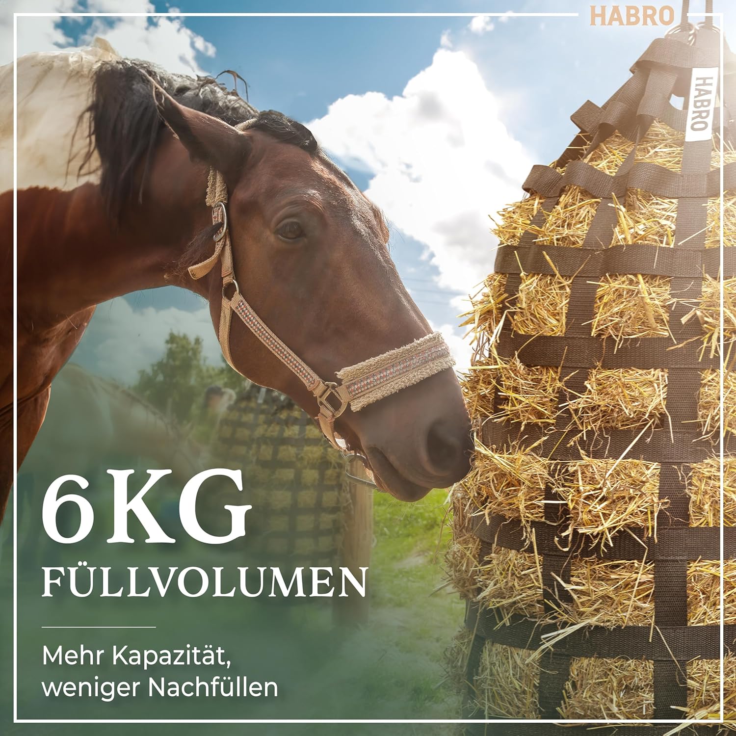 91YuXt6IdGL. AC SL1500 .jpg