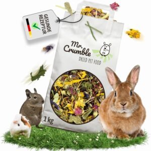 91d1mlQ3GFL. AC SL1500 .jpg