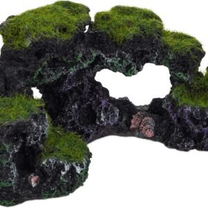 91dr7BP7I0L. AC SL1500 .jpg