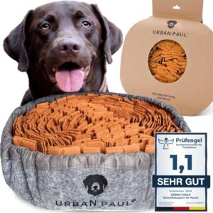 91dycgtXjdL. AC SL1500 .jpg