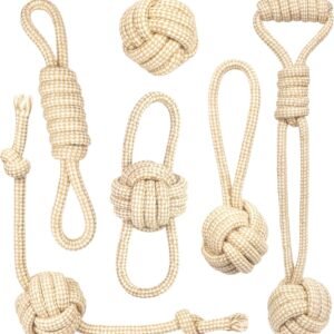 91eWGsROdL. AC SL1500 .jpg