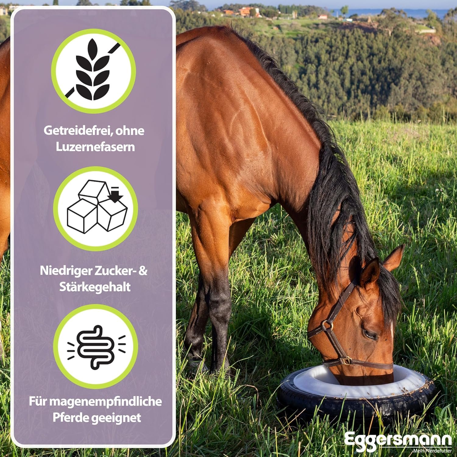 91f2lQcMZmL. AC SL1500 .jpg