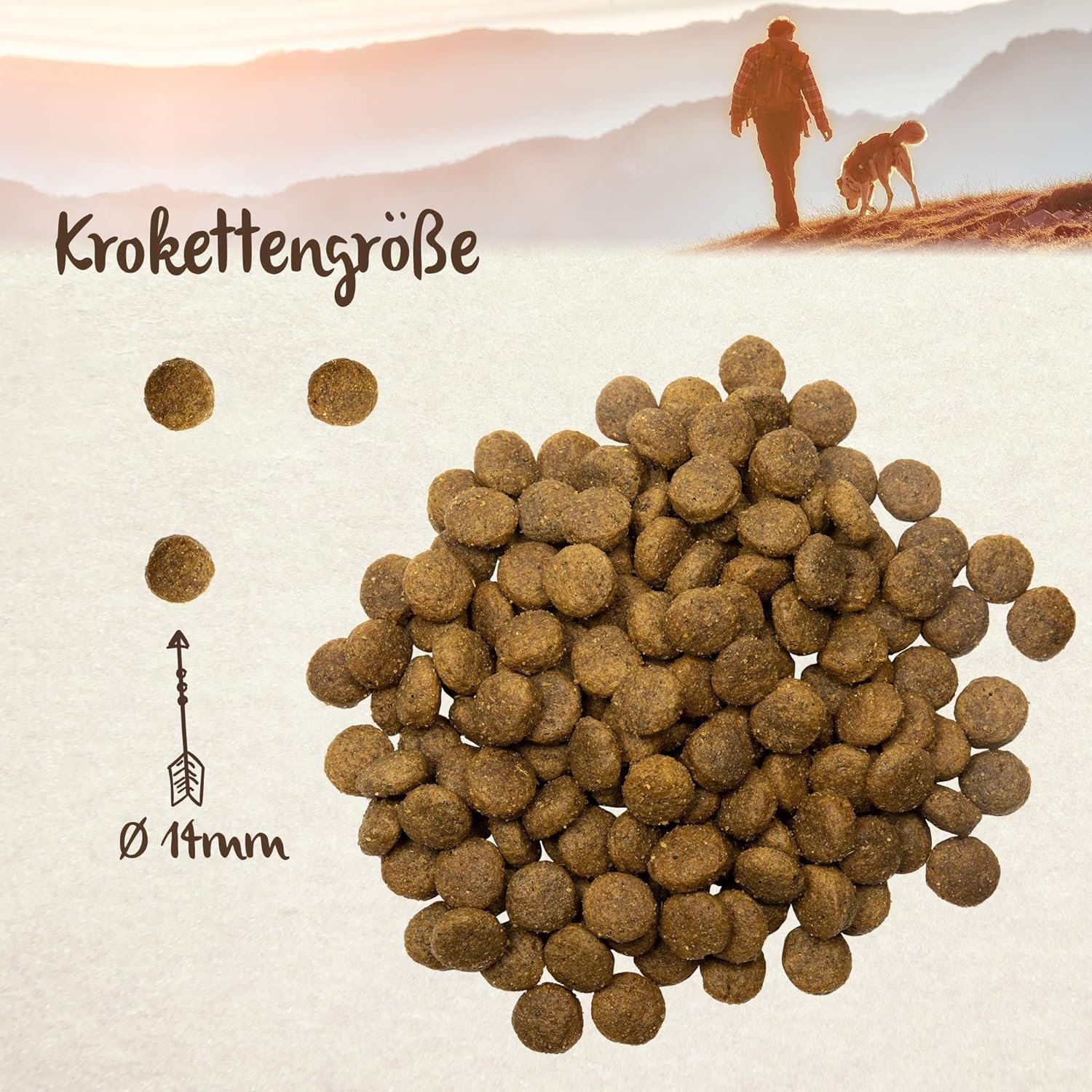 91fH9F6rZ2L. AC SL1500 .jpg