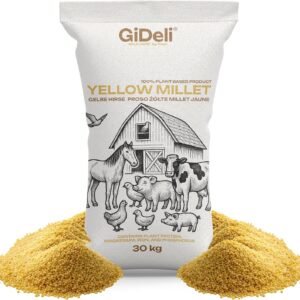 91fiumJB 3L. AC SL1500 .jpg