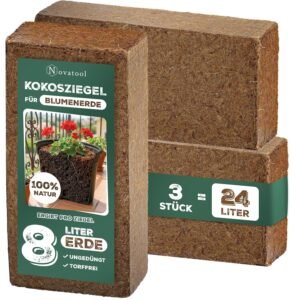 91fpuv9IT1L. SL1500 .jpg