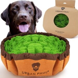 91h4REenAL. AC SL1500 .jpg