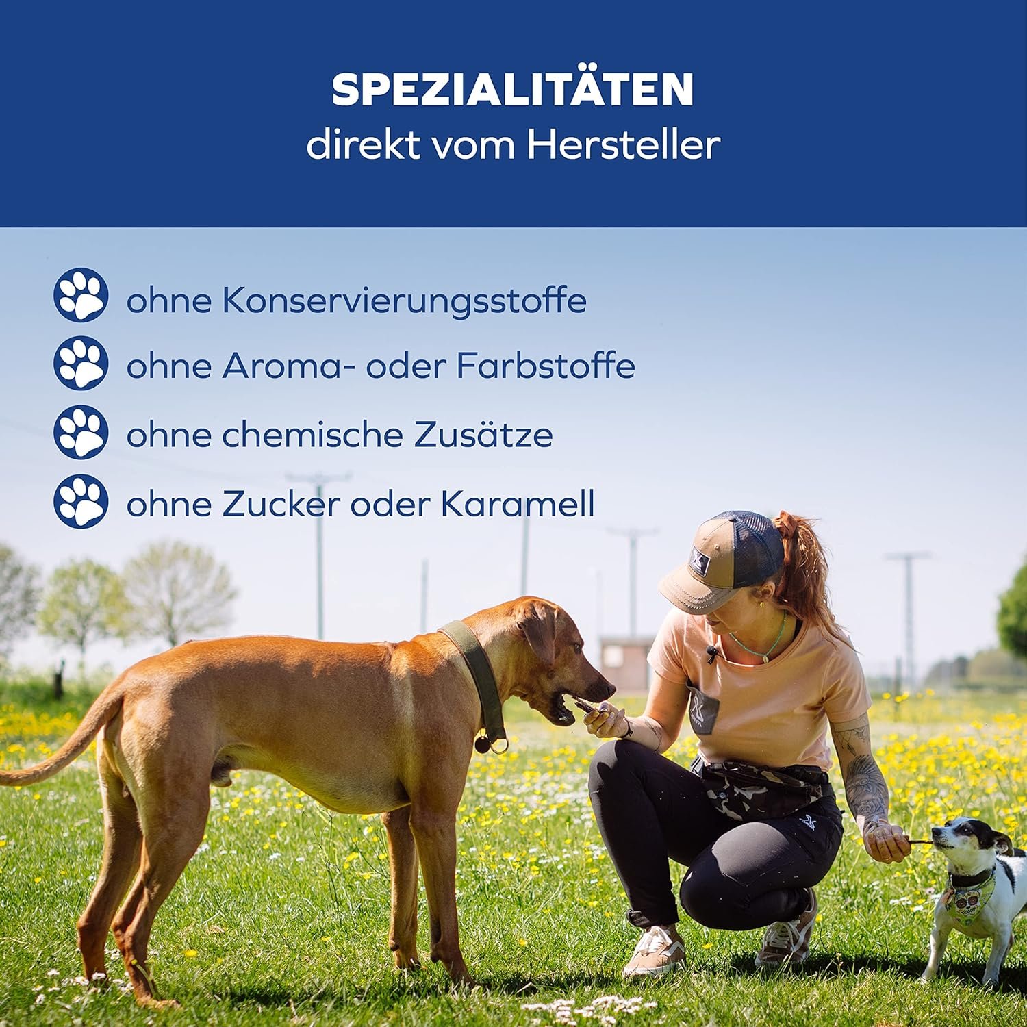 91igw1Lrs1L. AC SL1500 .jpg