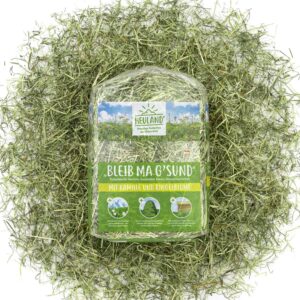 91k1ndHXXoL. AC SL1500 .jpg