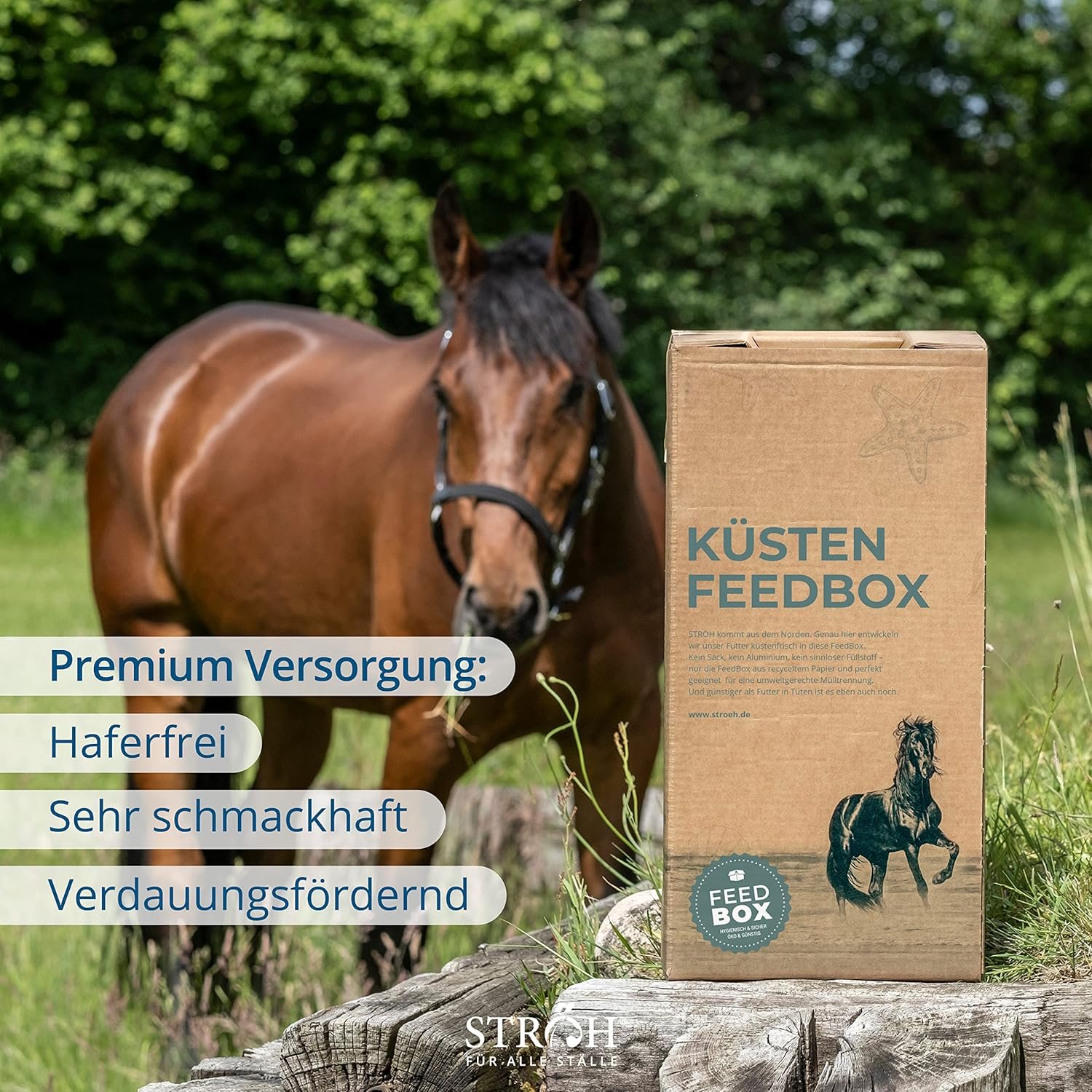 91kZXuNNWcL. AC SL1500 .jpg