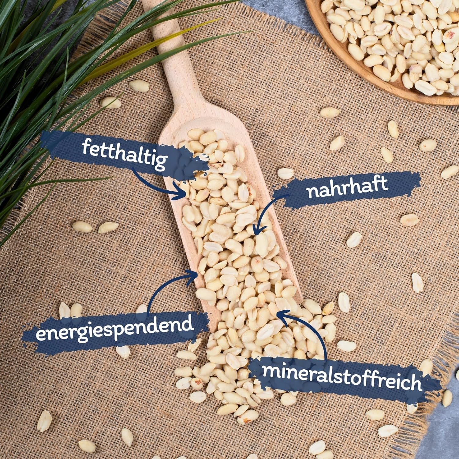 91o7P7qG3JL. AC SL1500 .jpg