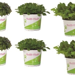 91qqcmllBaL. AC SL1280 .jpg