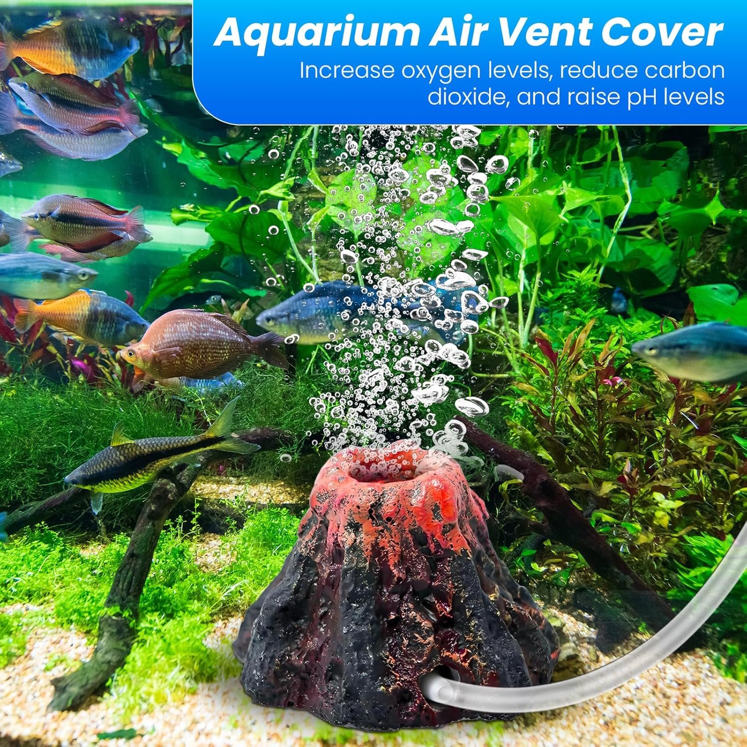 91r1KHNPHYL. AC SL1500 .jpg