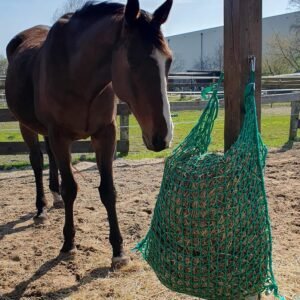 91sbFTcz DL. AC SL1500 .jpg