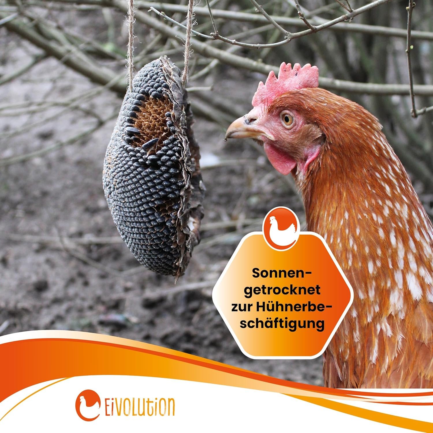 91veKIDmnUL. AC SL1500 .jpg