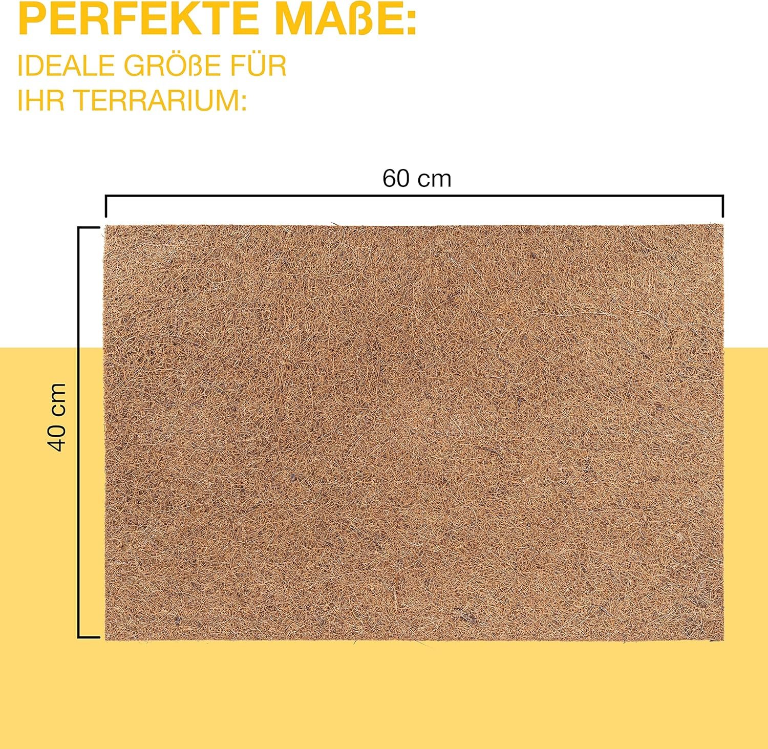 A1uV8QR0t1L. AC SL1500 .jpg