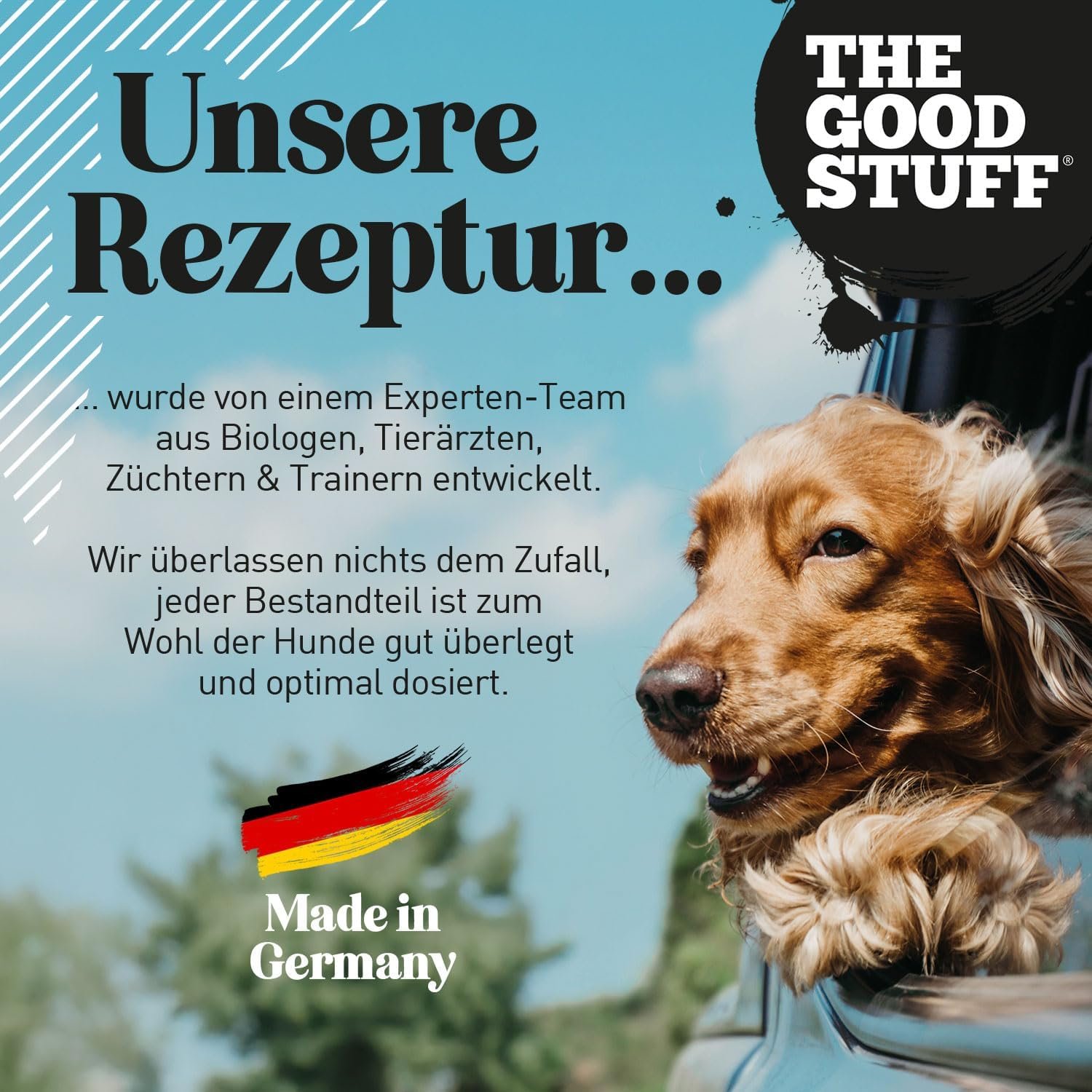 1772378700 71DrggkgXoL. AC SL1500 .jpg