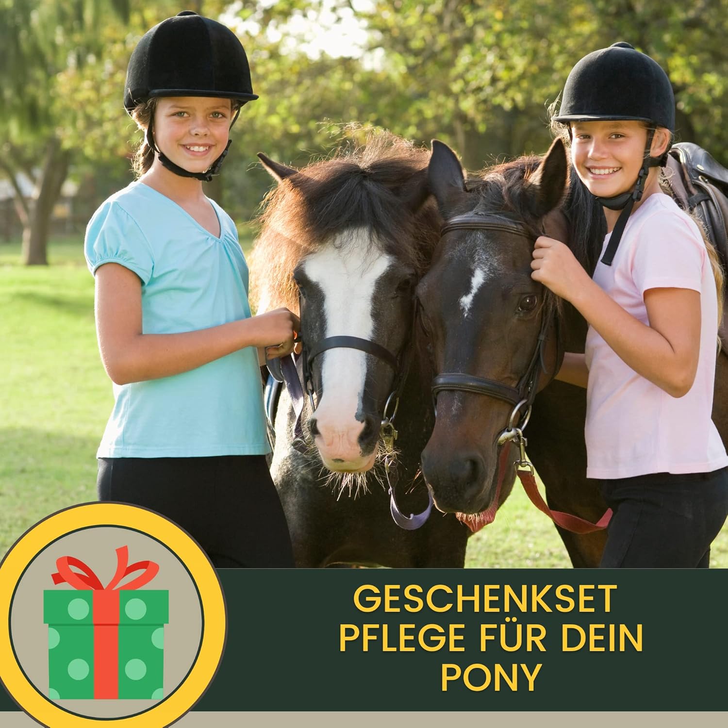 1772391478 81ATCMa7EUL. AC SL1500 .jpg