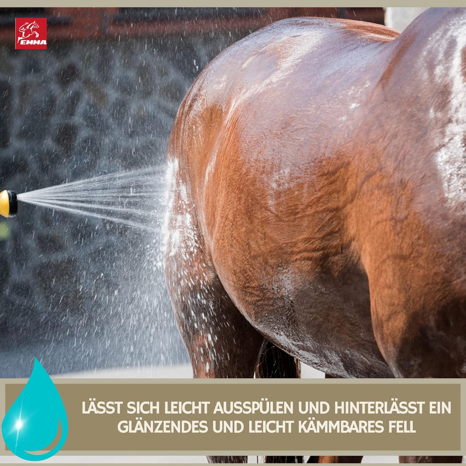 1772391484 81fuJHiKq6L. AC SL1500 .jpg