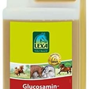 416MxBBqknL. AC .jpg