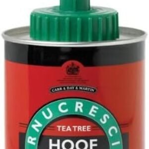 41EOkDv13IL. AC .jpg