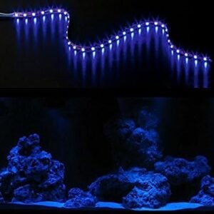 41O6vWq3F2L. AC .jpg