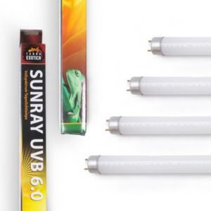 5194OJaU6fL. AC SL1000 .jpg