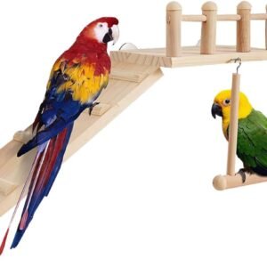 51GUqJLqKcL. AC SL1120 .jpg