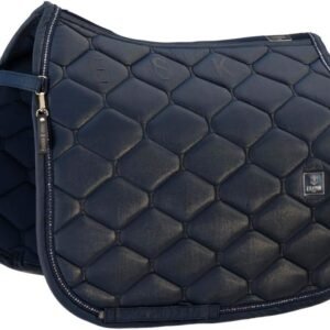 51J6WYBFSOL. AC SL1000 .jpg