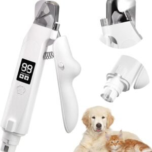 51LcePvilhL. AC SL1000 .jpg