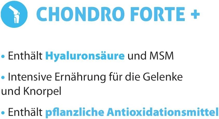 51N4dhmtL. AC SL1000 .jpg