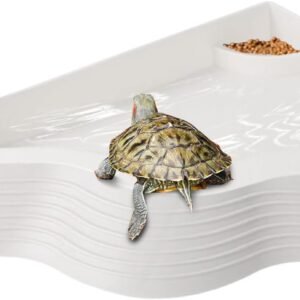 51ONU3oatL. AC SL1500 .jpg