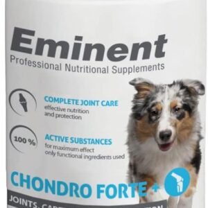 51PQwGx3L. AC SL1021 .jpg