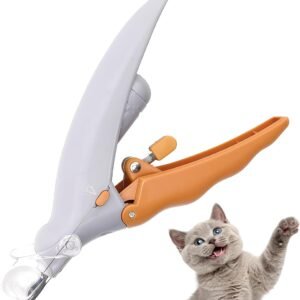 51X8O5pDMAL. AC SL1100 .jpg