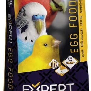 51aWJfApDL. AC SL1000 .jpg