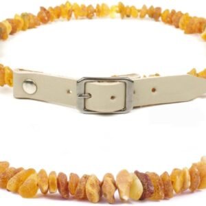 51g 1XD9gbL. AC SL1080 .jpg